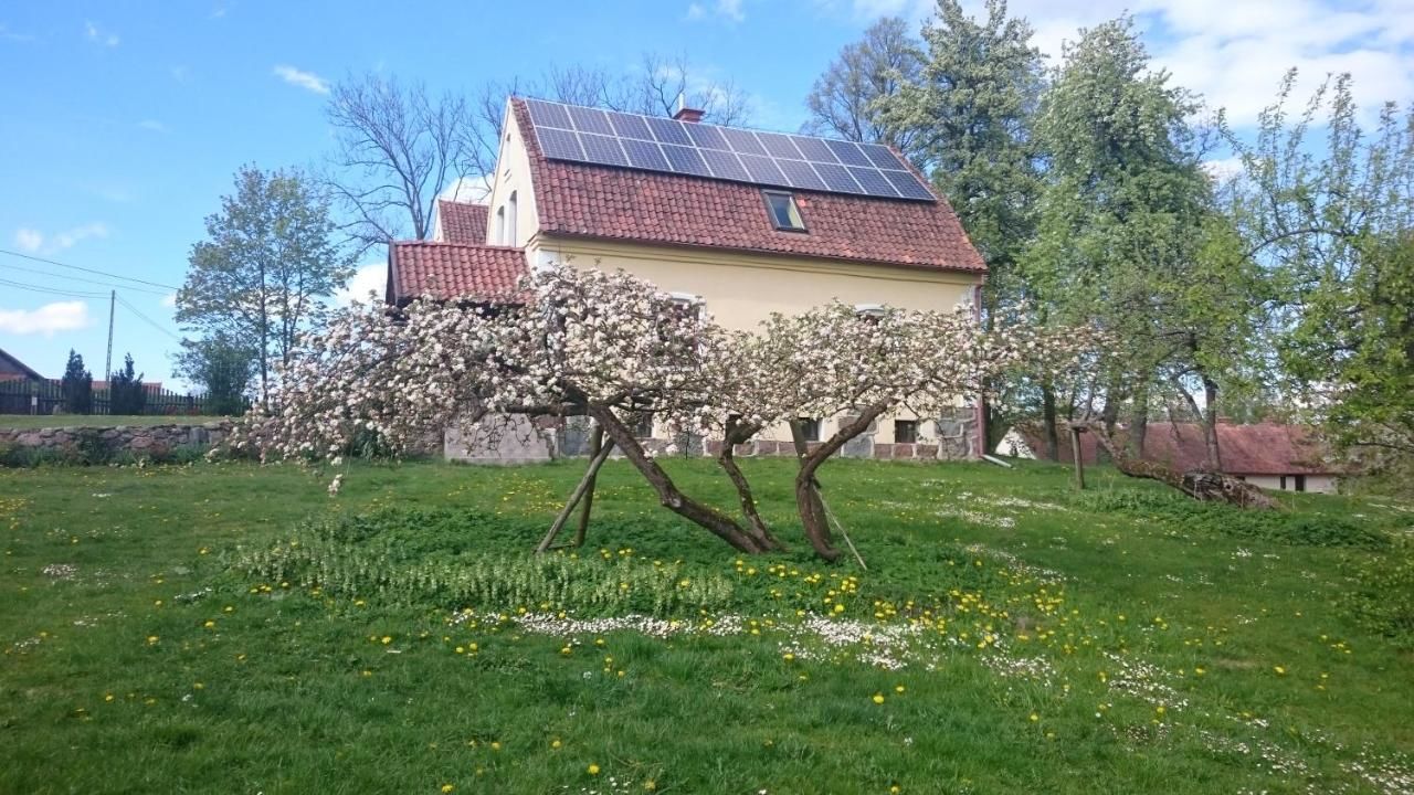 Загородные дома Dworek Szarki Szarki